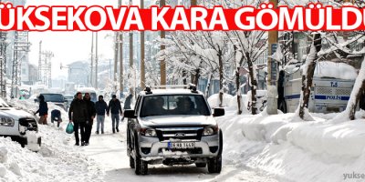 Yüksekova kara gömüldü