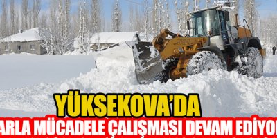 Yüksekova'da Karla Mücadele çalışması devam ediyor