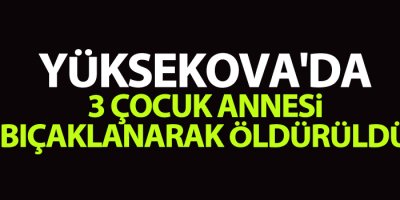 Yüksekova'da 3 çocuk annesi bıçaklanarak öldürüldü
