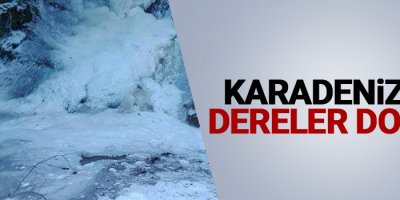 Karadeniz’de dereler dondu