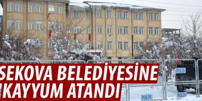 Yüksekova Belediyesi'ne kayyum atandı
