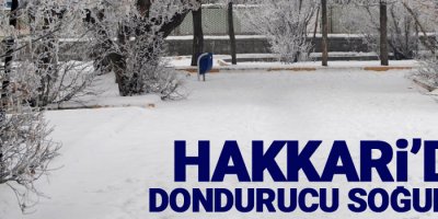 Hakkari buz tuttu