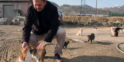 'Burası hayvan barınağı değil sevgi yuvası'