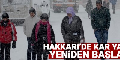 Hakkari’de kar yağışı yeniden başladı