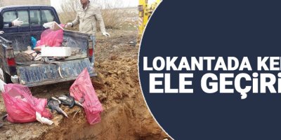 Lokantada kedi eti ele geçirildi