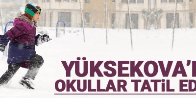 Yüksekova'da okullar tatil edildi