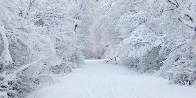 Kar geçim kaynağı oldu