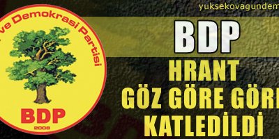 'Hrant göz göre göre katledildi'