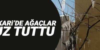 Hakkari’de ağaçlar buz tuttu