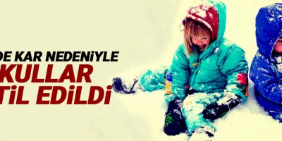 3 ilçede kar nedeniyle okullar tatil edildi