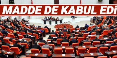 Yeni anayasada 17. madde de kabul edildi