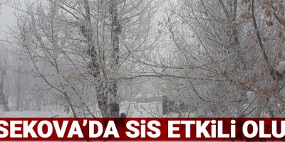 Yüksekova'da sis etkili oluyor