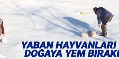 Yaban hayvanları için doğaya yem bırakıldı