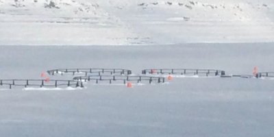 Aşırı soğuklar barajı dondurdu