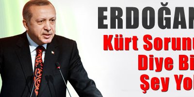 Kürt sorunu diye bir şey yok