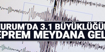 Erzurum'da 3.1 şiddetinde deprem