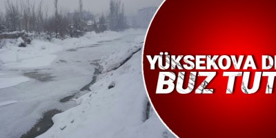 Yüksekova Deresi Buz Tuttu