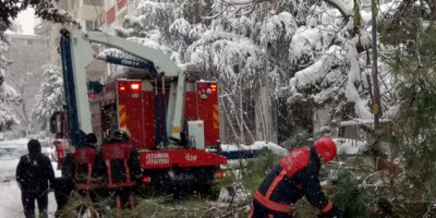 Yoğun kar yağışı nedeniyle ağaç devrildi