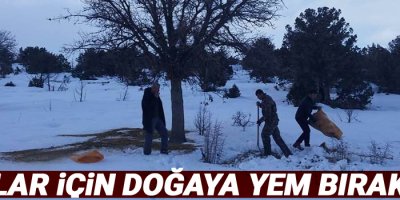 Kuşlar için doğaya yem bırakıldı
