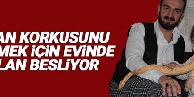 Yılan korkusunu yenmek için evinde yılan besliyor