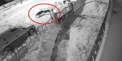 Aç kalan kurt şehre inerek köpeğe saldırdı