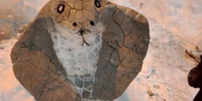 Kardan “kobra” yaptı