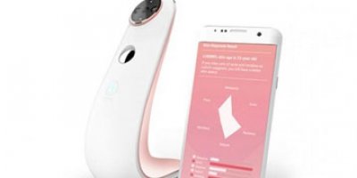 Hamsi rekora koşuyor