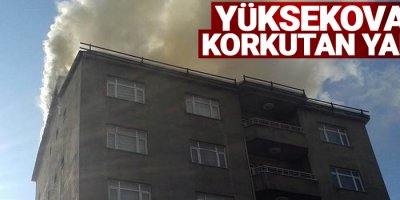 Yüksekova'da yangın