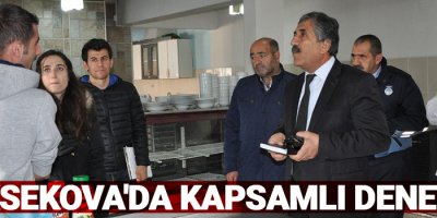 Yüksekova'da Kapsamlı Denetim