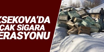 225 bin paket kaçak sigara ele geçirildi