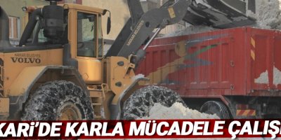 Hakkari’de karla mücadele çalışması