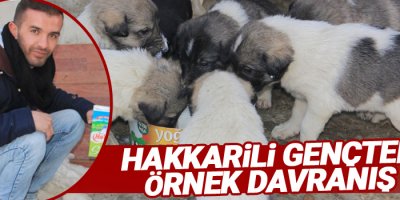 Hakkarili gençten örnek davranış