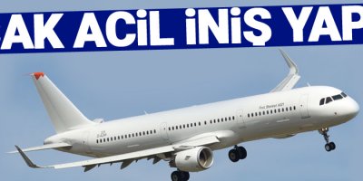 Panik atak yolcu uçağı geri döndürdü