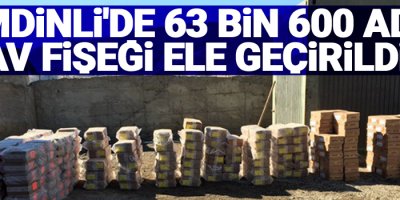 Şemdinli'de 63 bin 600 adet av fişeği ele geçirildi