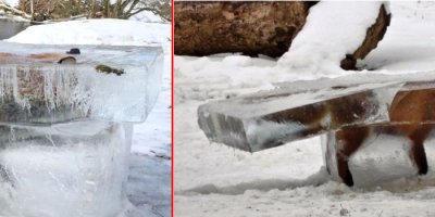 Nehre Düşen Tilki Donmuş Halde Bulundu