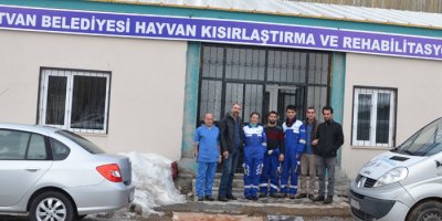 Tatvan'da hayvan hastanesi kuruldu