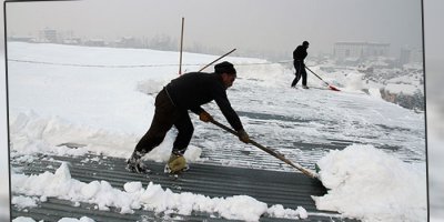 Ekmek parası için canlarını hiçe sayıyorlar