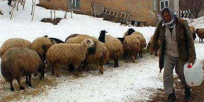 Hakkari'de zorlu kış mesaisi