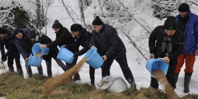Doğaya yem bıraktılar