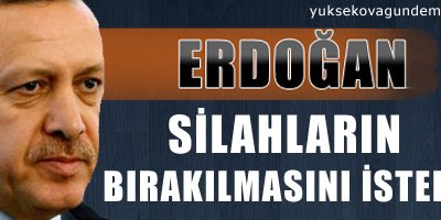 Erdoğan silahların bırakılmasını istedi