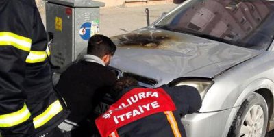 Park halindeki araç alev aldı