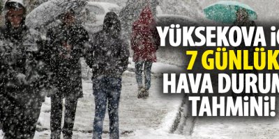 Yüksekova için 7 günlük hava durumu tahmini!