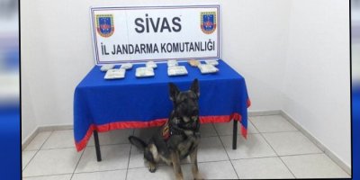 Van'dan Yola Çıktı, Sivas'ta Yakalandı