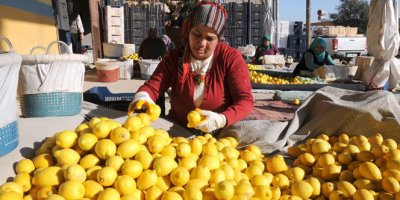 Çiftçinin yüzünü güldüren artış