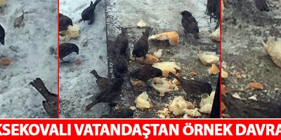 Yüksekovalı Vatandaştan Örnek Davranış
