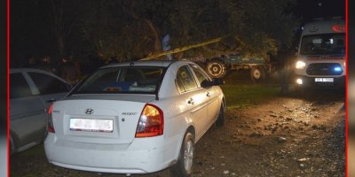 Kendini ağaca asarak intihar etti