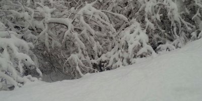 Şemdinli’de kar yağışı