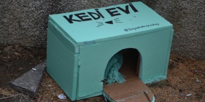 Hayvan severlerden kedi evi