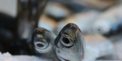 Kar yağdı, fiyatlar arttı