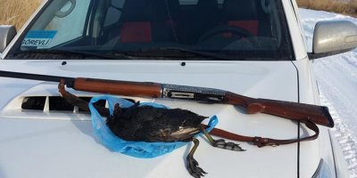 Kaçak avcıya bin 115 lira para cezası kesildi